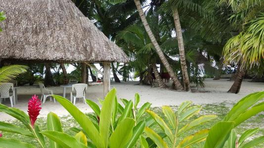 Anse Kerlan Beach Chalets - 3