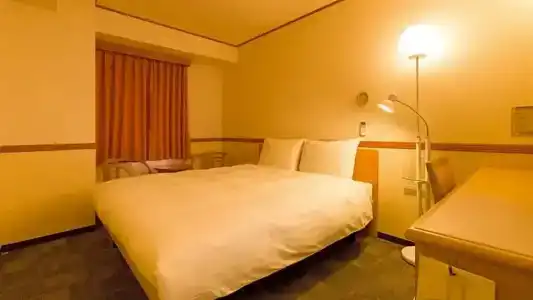 Toyoko Inn Ekimae - 95