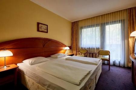 Lövér Sopron - 49