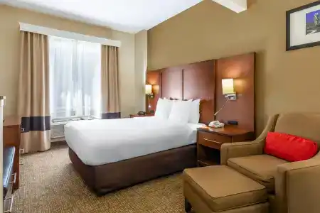 Comfort Suites Walnut Creek - 4
