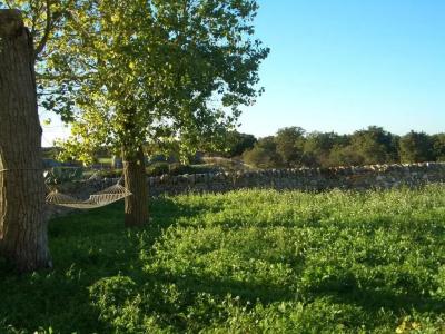 Masseria Pozzo Tre Pile - 25