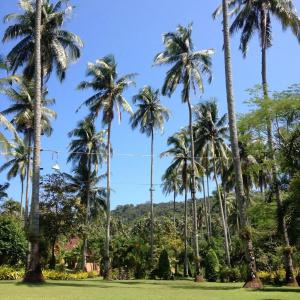 Ko Kut Ao Phrao Beach - 15