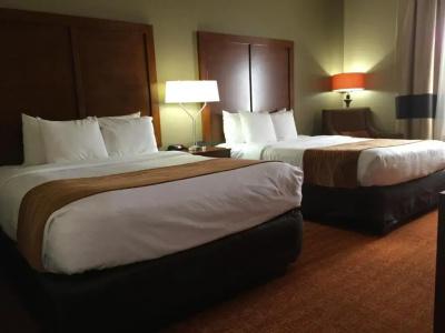 Comfort Inn & Suites near Kino Sports Complex - 49