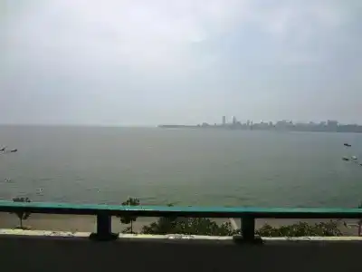 Sea Green South - 11