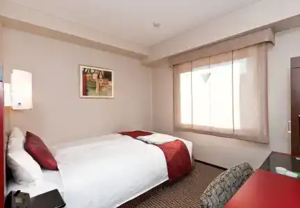 Sotetsu Fresa Inn Tokyo-Akasaka - 11