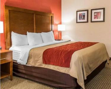 Comfort Inn Boston - 39