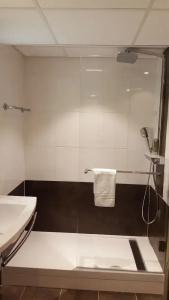 Mercure Colmar Centre Unterlinden - 93