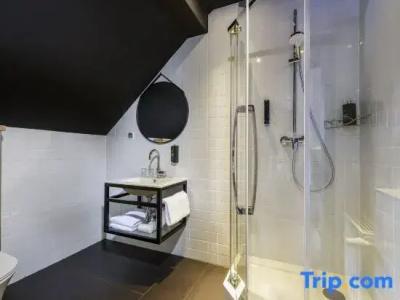 ibis Styles Dresden Neustadt - 66