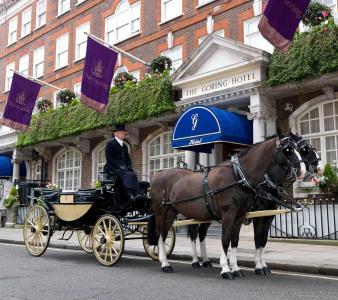The Goring - 11
