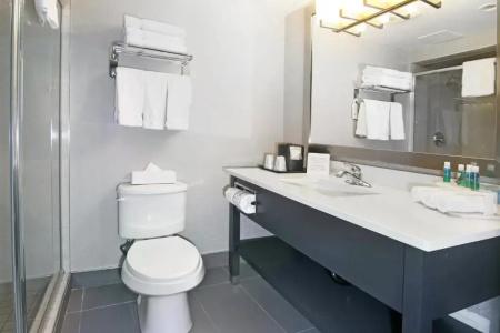 Holiday Inn Express and Suites, an IHG - 59