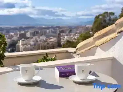 Parador de Málaga Gibralfaro - 56