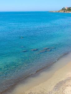 Pollon Inn Sanremo - 15