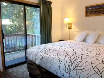 Park and Cabins - 105