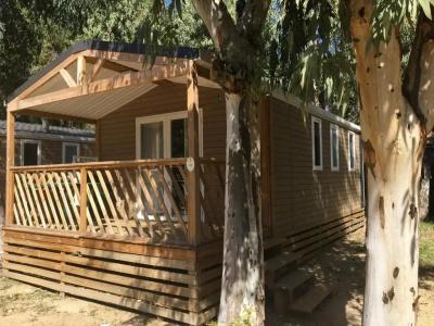 Camping La Pinède - 97