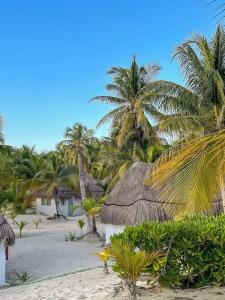 La Diosa Tulum Resort & Spa - 35