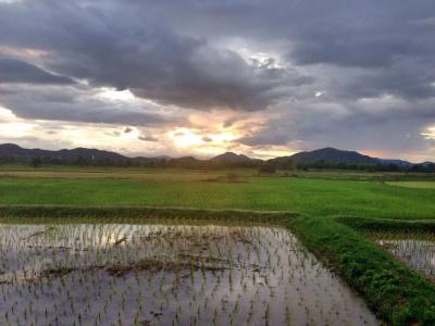 Le Bar Tarry - 14