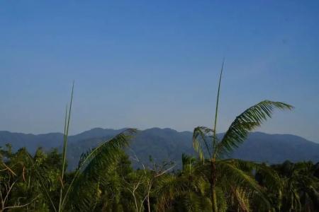 Green Terrace Resort - 130