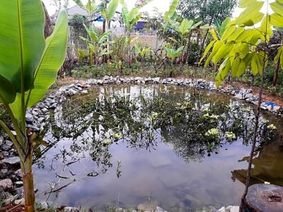 Angkor Rural Boutique - 50