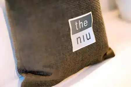 the niu Cobbles - 62