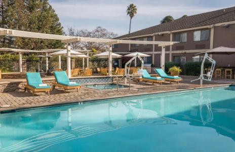 Maple Tree Inn - 14