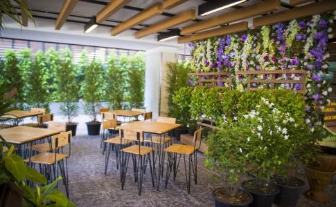 Sillemon Garden - 24