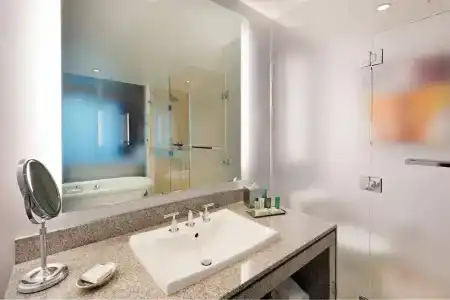 Hilton Club West 57th Street New York - 18