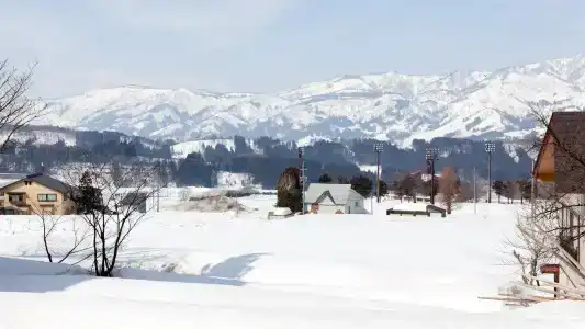 Sakakiya - 10