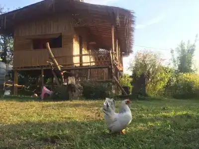Baan 2 Dao Farmstay - 17