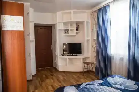 Спутник - 58