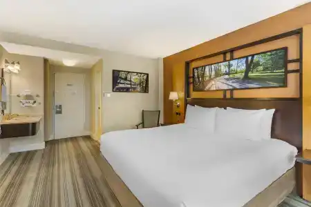 Best Western Gold Coast - 45