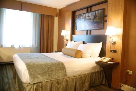 Best Western Gold Coast - 60