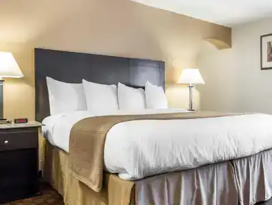 Quality Inn & Suites Coliseum - 20