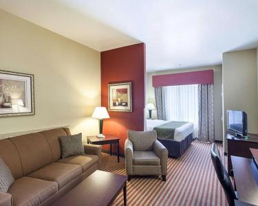 Comfort Suites Medical Center Near Six Flags - 53