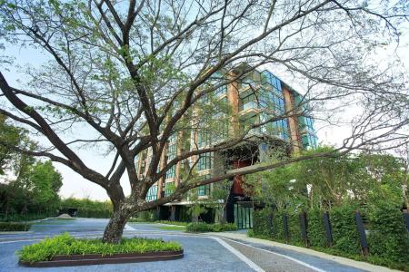 Parc Borough City Resort -Sha Extra Plus - 50