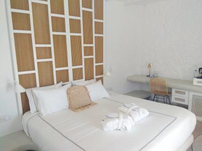 Petri Suites - 21