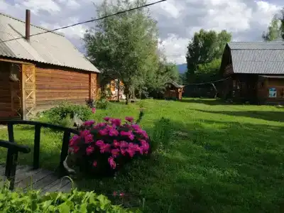Алтайна - 14
