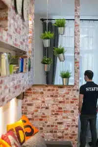 Friends Hostel & - 31