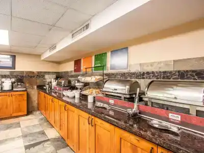 Comfort Inn at Thousand Hills - 31