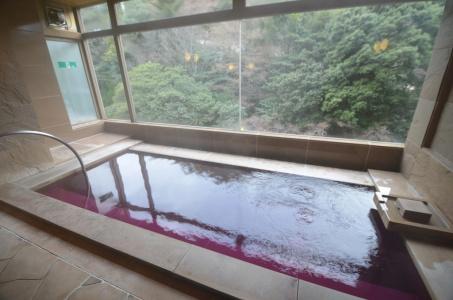 Arima Onsen Gekkoen Yugetsusanso - 17