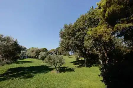 Santavenere - 85