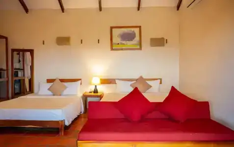 Daisy Resort - 60