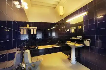 Jayamahal Palace - 16