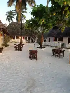 Coco Beach - 15