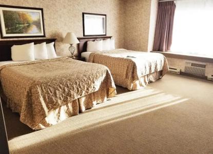 Alex and Suites - 25
