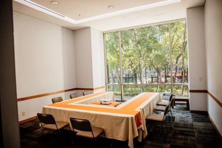 Holiday Inn Express Mexico Reforma - 32