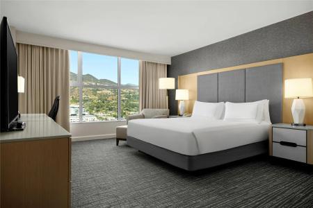 Hilton Los Angeles North-Glendale & Executive Meeting Center - 37