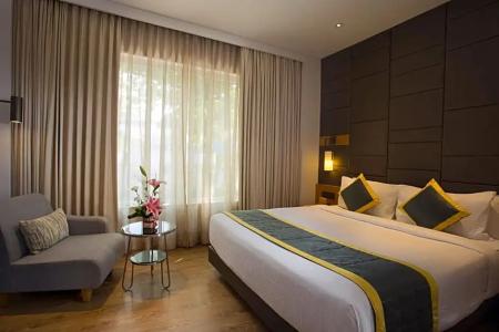 Fountain Tree By Tgi - 29