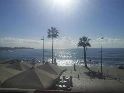 Paphinia SeaView - 10