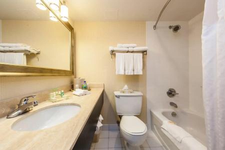 Holiday Inn Montreal, An Ihg - 63