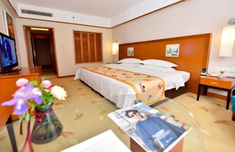 Pullman Zhangjiajie - 6